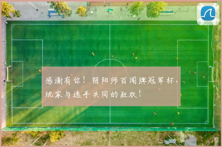 感谢有你!阴阳师百闻牌冠军杯,玩家与选手共同的狂欢!