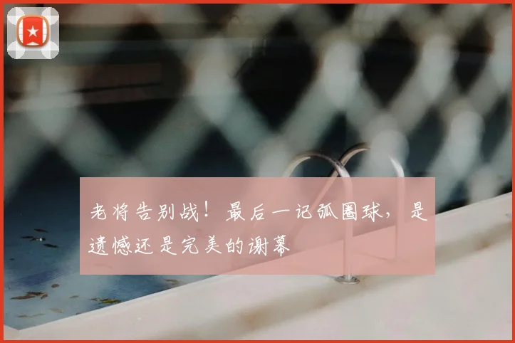 老将告别战!最后一记弧圈球,是遗憾还是完美的谢幕