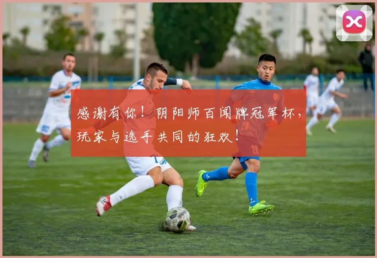 感谢有你!阴阳师百闻牌冠军杯,玩家与选手共同的狂欢!